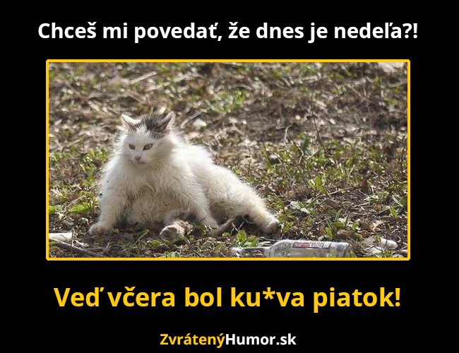 nedela