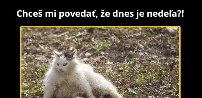 Víkendy sú najrýchlejšie