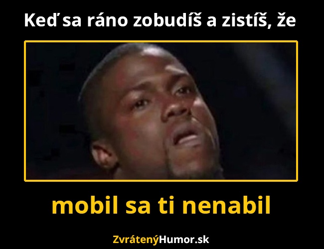 neprijem