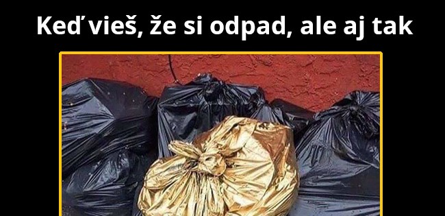 Zlatá ovca rodiny