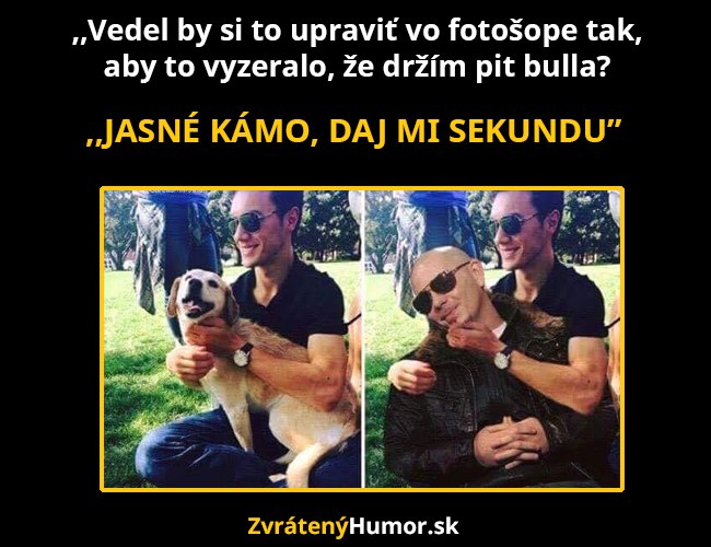 pitbull