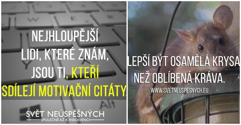 20 obrázkov zo sveta neúspešných – Tá pravá dávka demotivácie a beznádeje #2