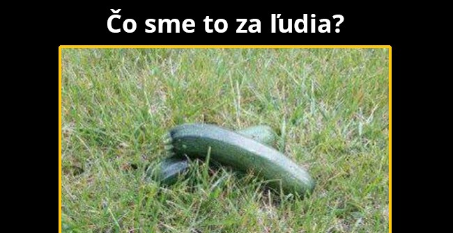 STOP VEGÁNOM!
