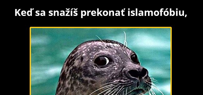Čo tam môže mať