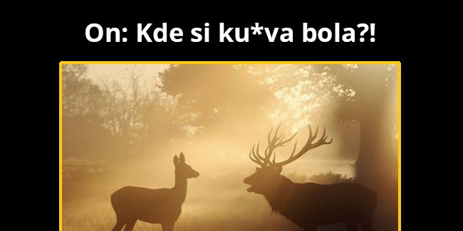 To je ale ku*va