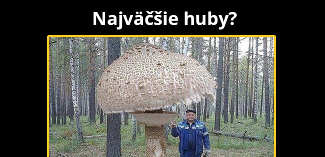 Na huby už len tam