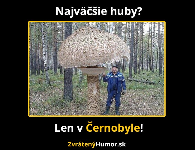 huby