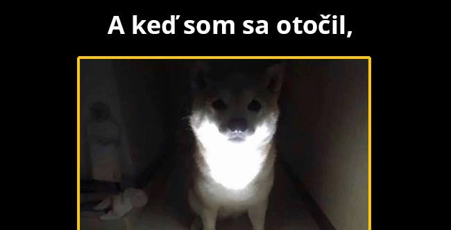To je strašné!