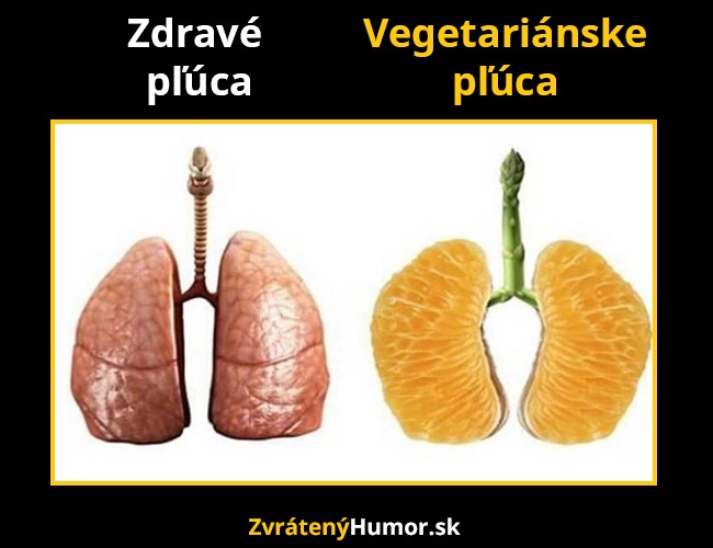 pluca