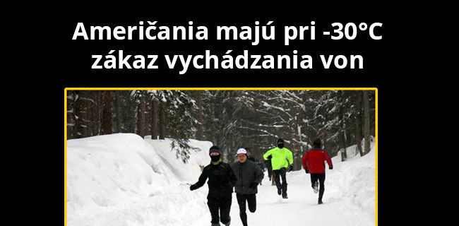 Ľadové medvede