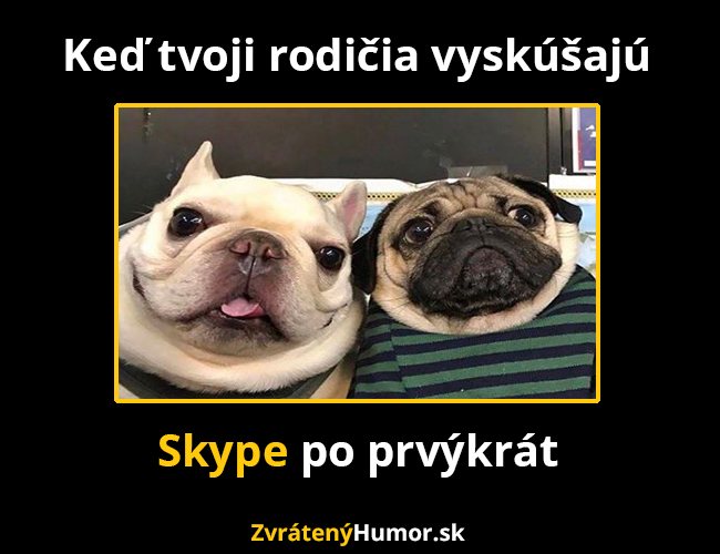 skyp