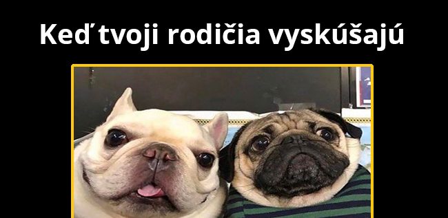Haló? Si to ty?