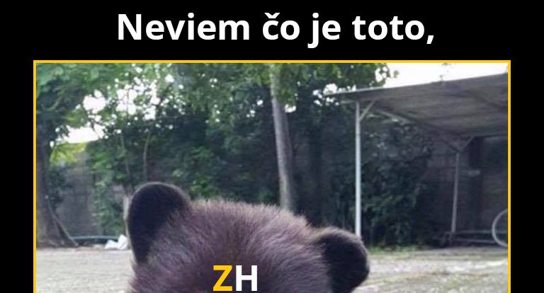 Snáď nie medveď