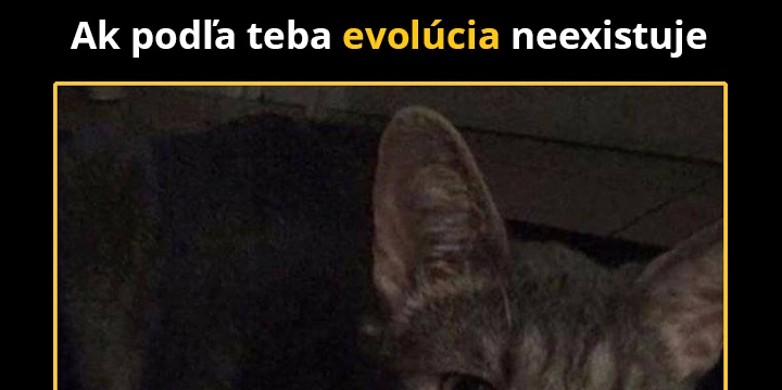 Nový druh?