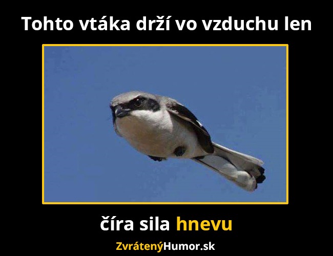 hne