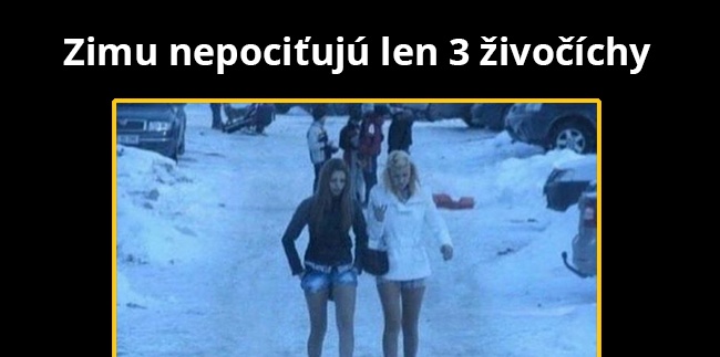Tie nezastaví nič