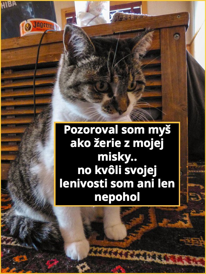 macky1