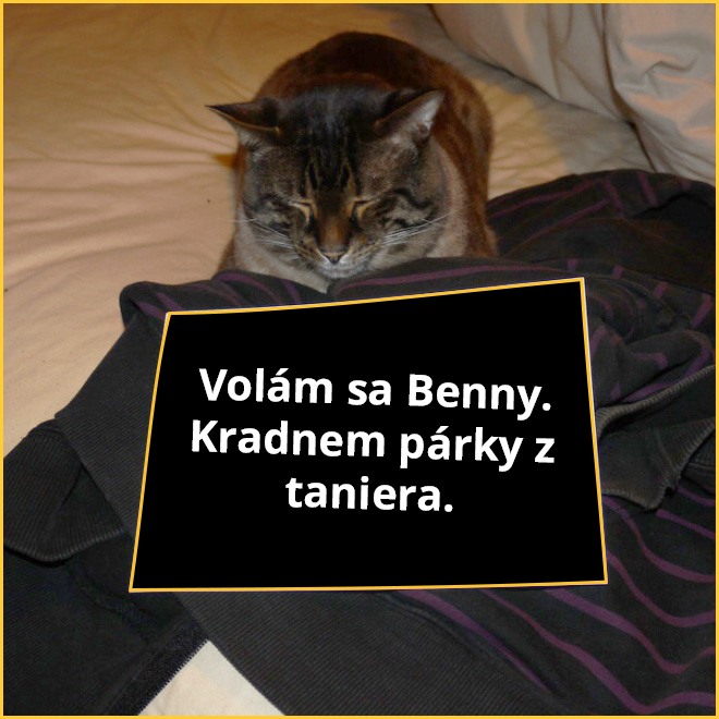 macky4