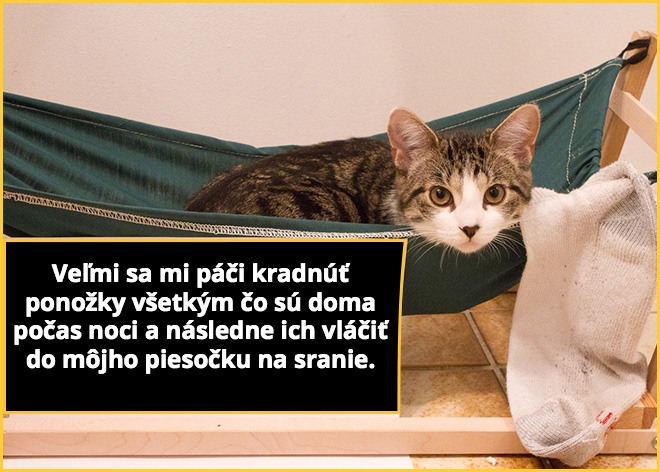 macky6