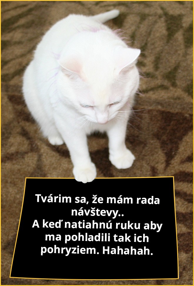 macky7
