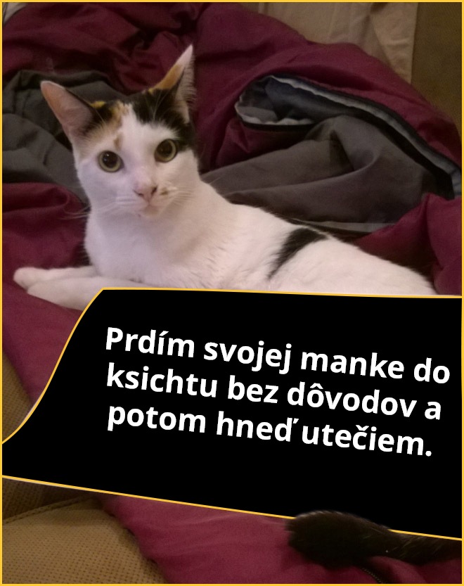 macky8