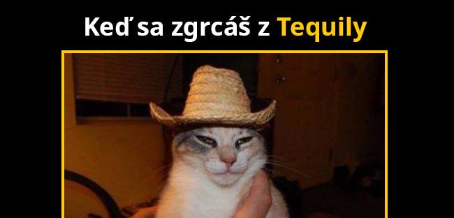S alkoholom sa dá všetko