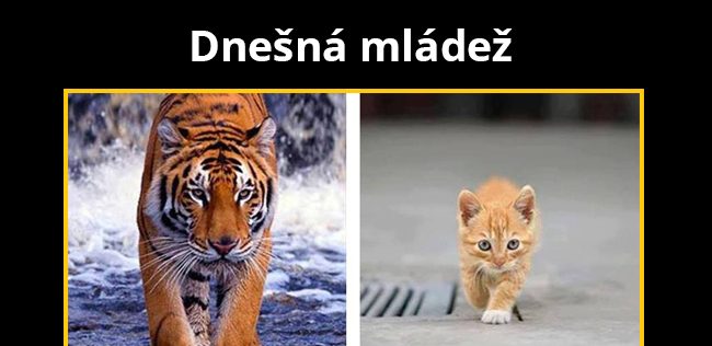 Online hrdina