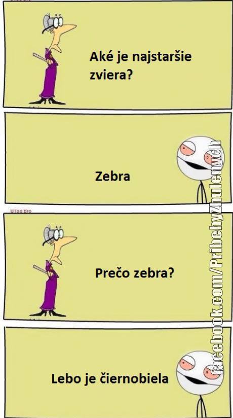rozhovory14