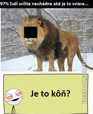rozhovory7