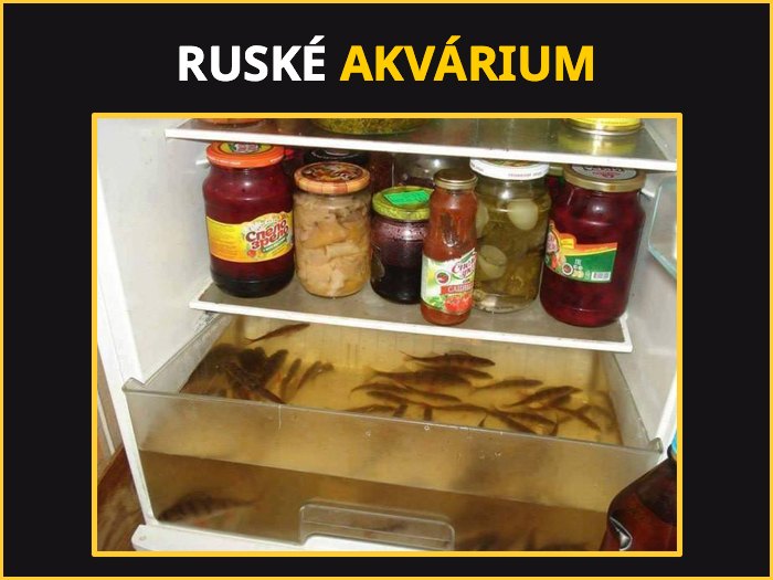 rusko1