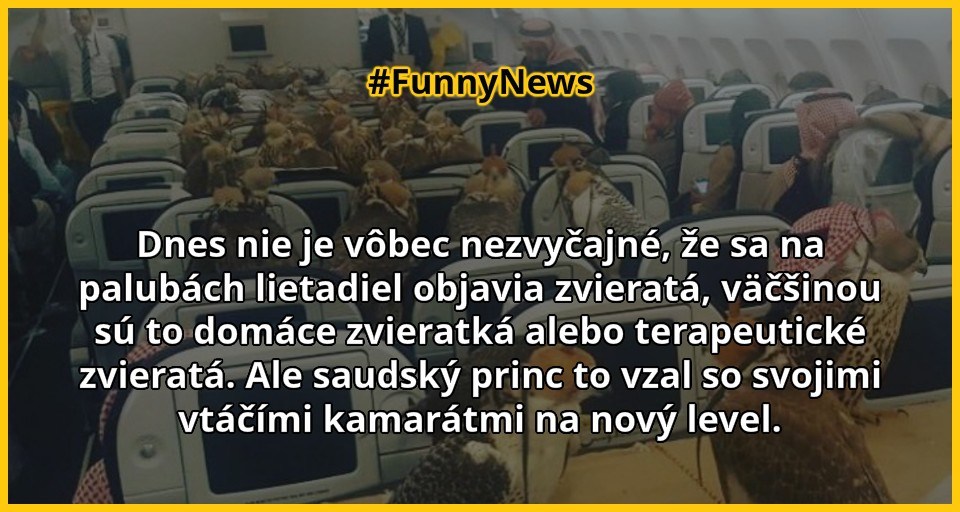 80 sokolov na palube lietadlá a každý s vlastnou miestenkou, v Arabských Emirátoch nič nezvyčajné