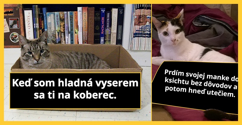 titulkamacky