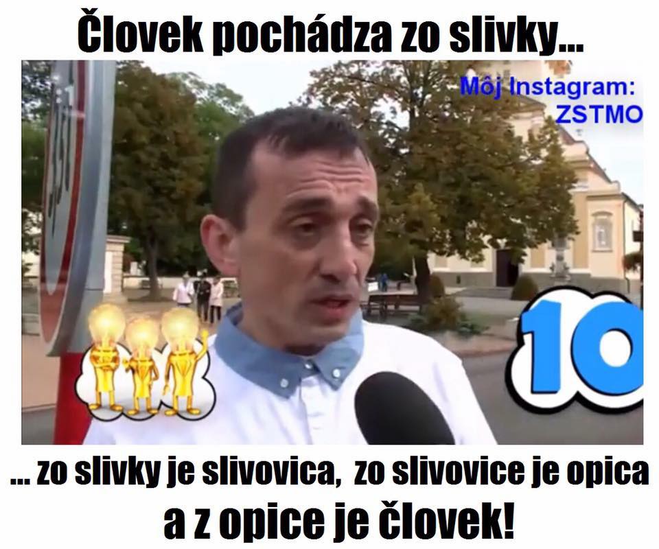 tt24