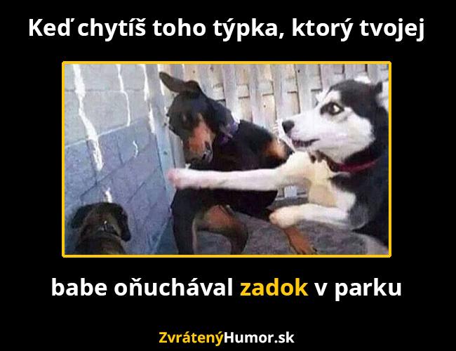 zadok