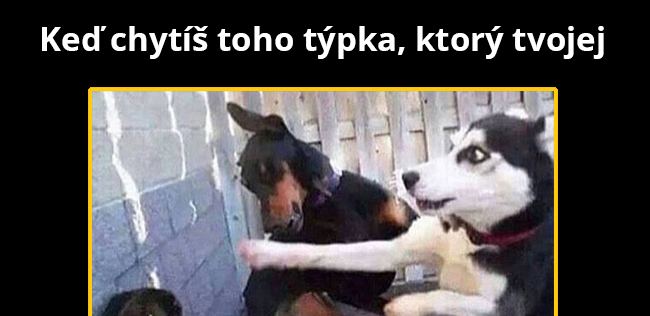 Dostal na pi*u