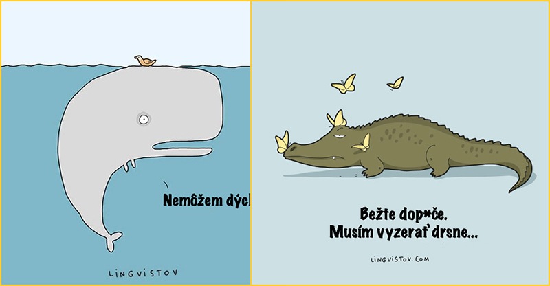 Podarené zvieratá, ktoré vás pobavia svojim myšlienkovými pochodmi (10 zvierat)