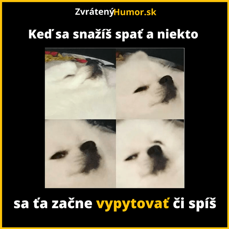 0 (17)