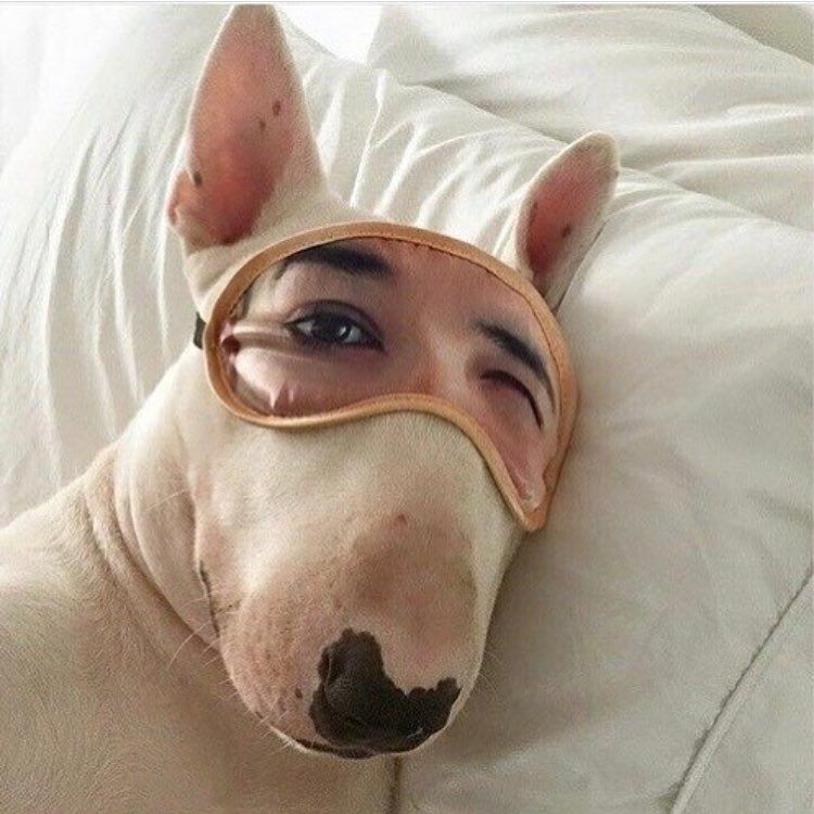 85291235