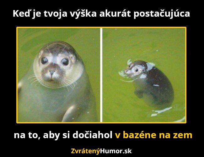 bazen