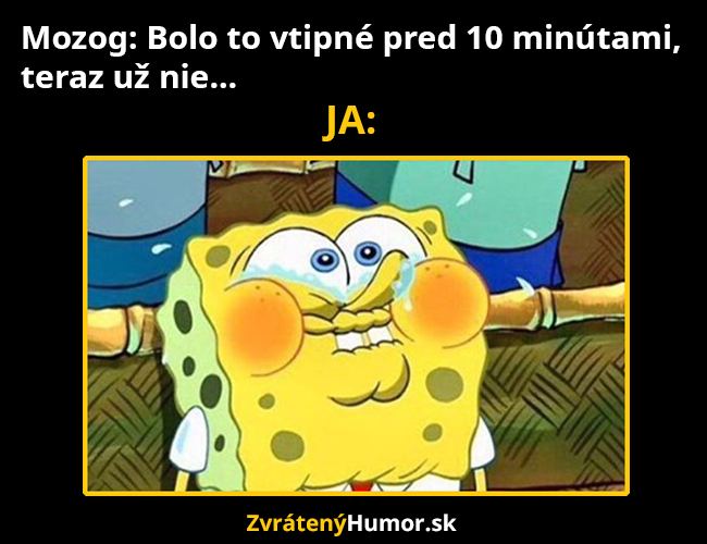 bolo