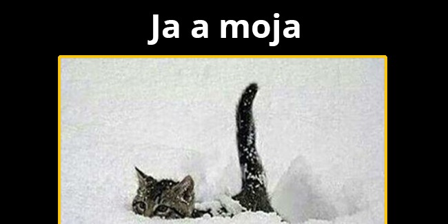 Je to boj