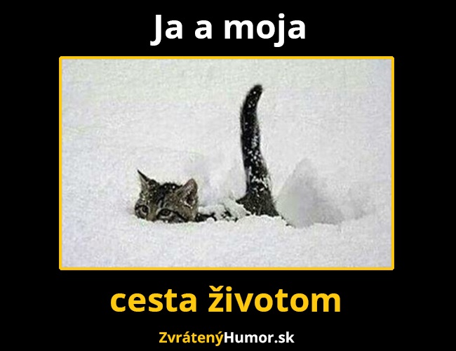 cestazivotom