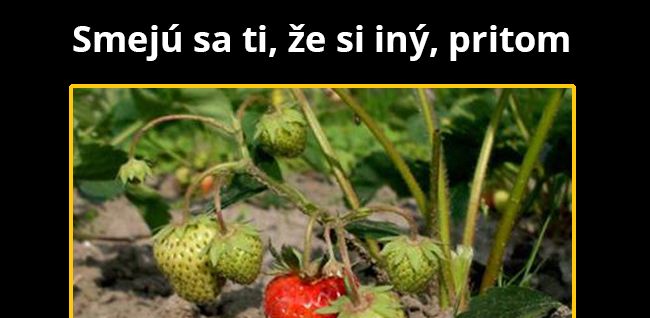 Netráp sa