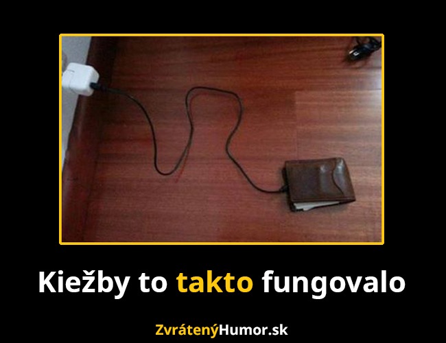 fungovalo