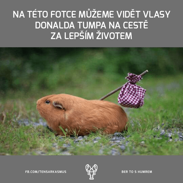 humr11