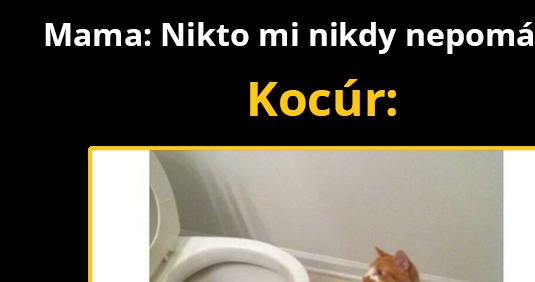 Tak aspoň ten no