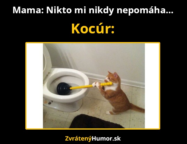 kocur