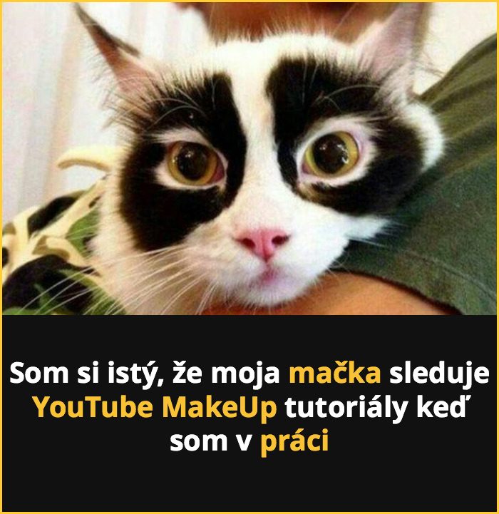 mackesnepcet6