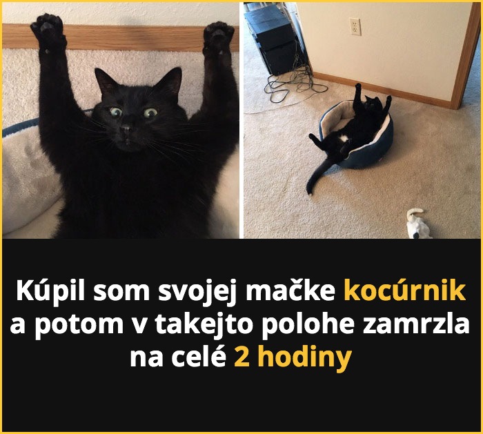 mackesnepcet7