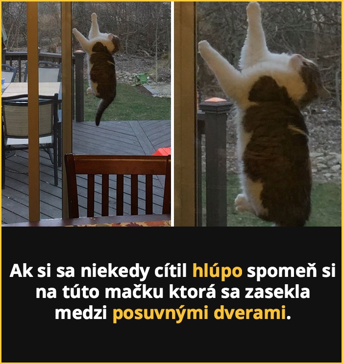 mackesnepcet9